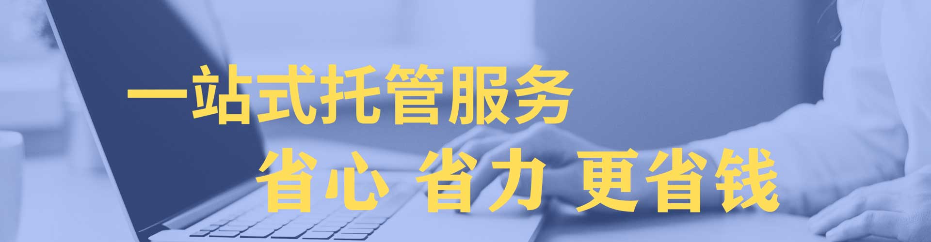 向阳竞价代运营
